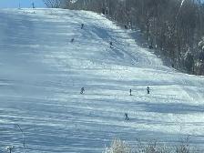 Room(s) in Collingwood ~ BLUE MOUNTAIN Snowboarders welcome