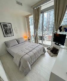 Furnished private room for rent in dt