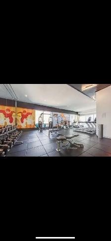 Furnished private room for rent in dt - Photo 4