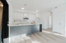 Brand-New 1 Bed | 775 sq ft | Castle Heights | $2,080 - Photo 4