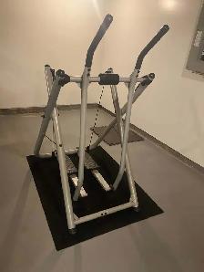 gazelle eliptical