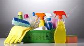 PERSONAL ASSISTANT / HOUSE CLEANER - Photo 3