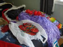 Costumes - Photo 4