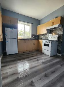 Newly Renovated Two (2) Bedrooms suite # 3 available 4 rent ASAP
