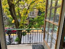 4 1/2 à louer au coeur du Plateau-Mont-Royal - Photo 10