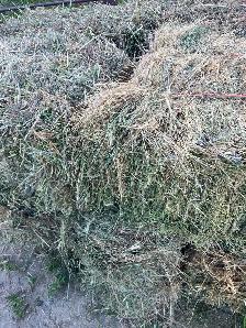 square hay bales - Photo 3
