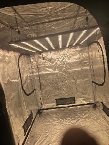 Grow Light - Photo 5