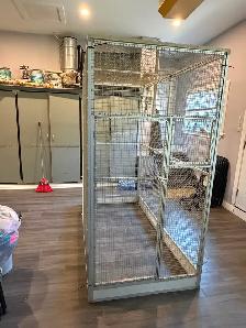 Bird cage - Photo 2