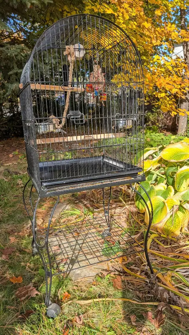 Very good condition bird cage! Cage en très bonne condition!