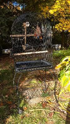 Very good condition bird cage! Cage en très bonne condition! - Photo 3