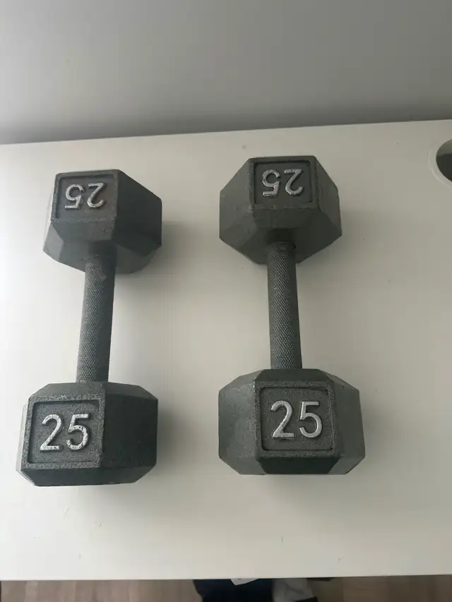 25lbs Hex Dumbbells (Pair)