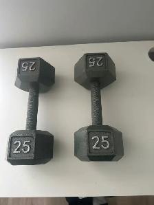 25lbs Hex Dumbbells (Pair)