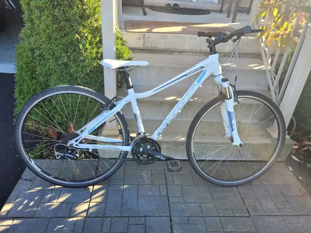 Liv Rove Hybrid Bike (by Giant)
