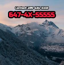 416/647/437/905/289 Phone Numbers Top Vip Phone Numbers