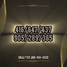 416/647/437/905 Phone Number Toronto Memorable Vip Phone Numbers