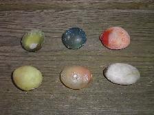 Gobi Desert Eye Agates