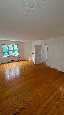 Spacious 2  1  Bedroom Apartment for rent - Photo 5