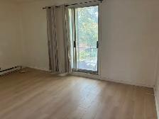 renovated  2BR Top-Floor Apartment  Rivière-des-Prairie