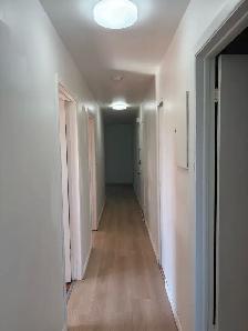 renovated  2BR Top-Floor Apartment  Rivière-des-Prairie - Photo 4