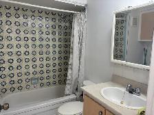 renovated  2BR Top-Floor Apartment  Rivière-des-Prairie - Photo 5