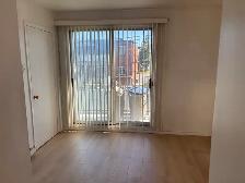 renovated  2BR Top-Floor Apartment  Rivière-des-Prairie - Photo 9