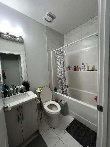 Furnished basement for rent from Nov 1st(rent includes utility) - Photo 5