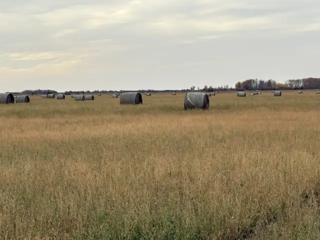 hay bales