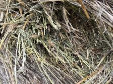 hay bales - Photo 2