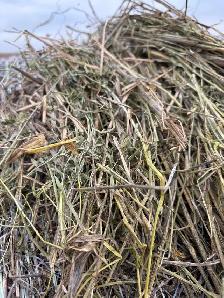 hay bales - Photo 3