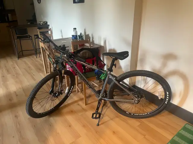 stolen bike