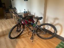 stolen bike