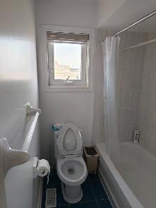 Sunny upstairs suite for rent at Major Mac & Bayview - Photo 10