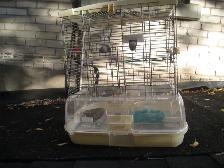 BIRDS CAGE