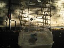 BIRDS CAGE - Photo 2