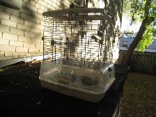 BIRDS CAGE - Photo 3
