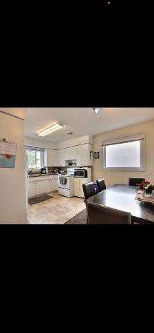 3 bed House in East Elmwood - Photo 2