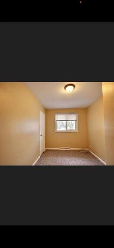 3 bed House in East Elmwood - Photo 4