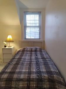 Alliston-Room For Rent - Photo 3