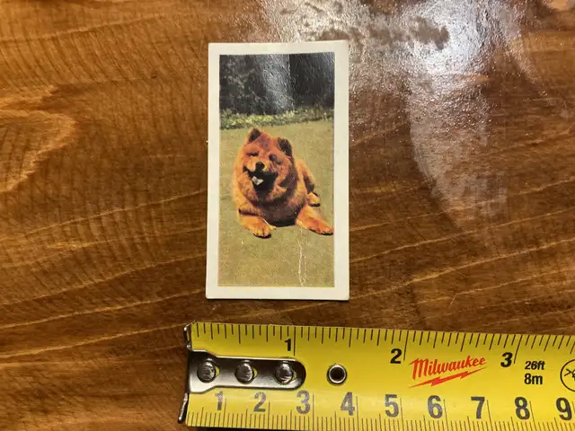 1961 HORNIMANS Tea Trading DOGS CHOW-CHOW Card # 31 !