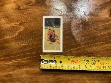 1961 HORNIMANS Tea Trading DOGS CHOW-CHOW Card # 31 ! - Photo 3