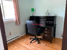 Furnished Heat Lights Internet Parking Downtown Apartment Nov 1! - Photo 7
