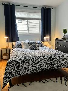 Furnished Heat Lights Internet Parking Downtown Apartment Nov 1! - Photo 10