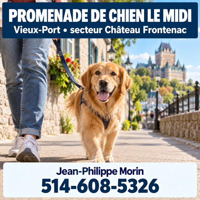Promenade de chien le midi — Vieux-Port — dès 25 $