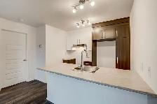 One-bedroom apartment - 1 January . Aylmer, Gatineau near Ottawa
