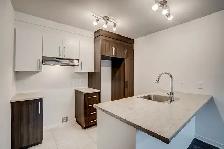 One-bedroom apartment - 1 January . Aylmer, Gatineau near Ottawa - Photo 2