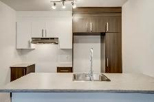 One-bedroom apartment - 1 January . Aylmer, Gatineau near Ottawa - Photo 3