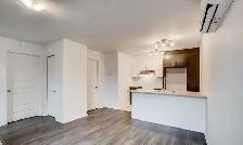 One-bedroom apartment - 1 January . Aylmer, Gatineau near Ottawa - Photo 8