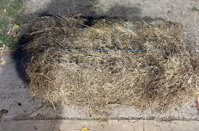 Flax Bales- Stony Mountain Area
