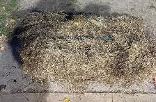 Flax Bales- Stony Mountain Area
