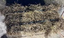 Flax Bales- Stony Mountain Area - Photo 2